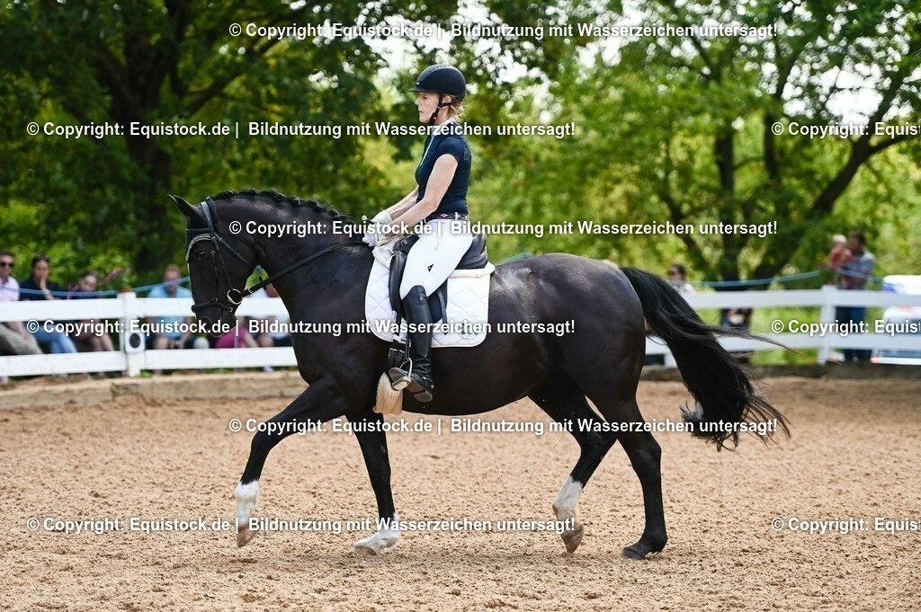20230716_03_Dressurprfg. Kl.L - Tr._0150 | equistock