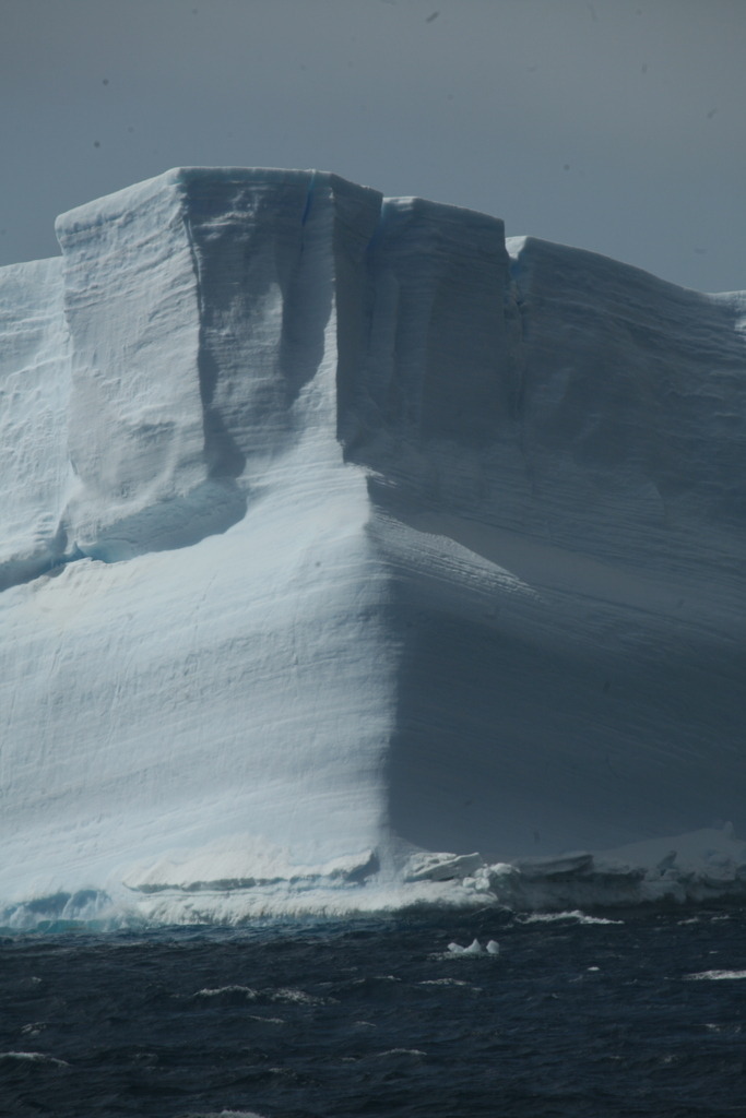 IMG_8708 | Antarktis / Antarctica - Realisiert mit Pictrs.com