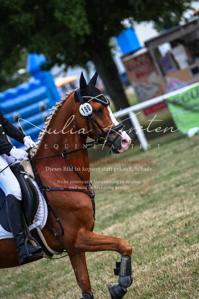 DSC_8073 | Pferde- und Turnierfotografie in Westsachsen. Pferdeportraits, Auftragszeichnungen und intuitive Kunst.