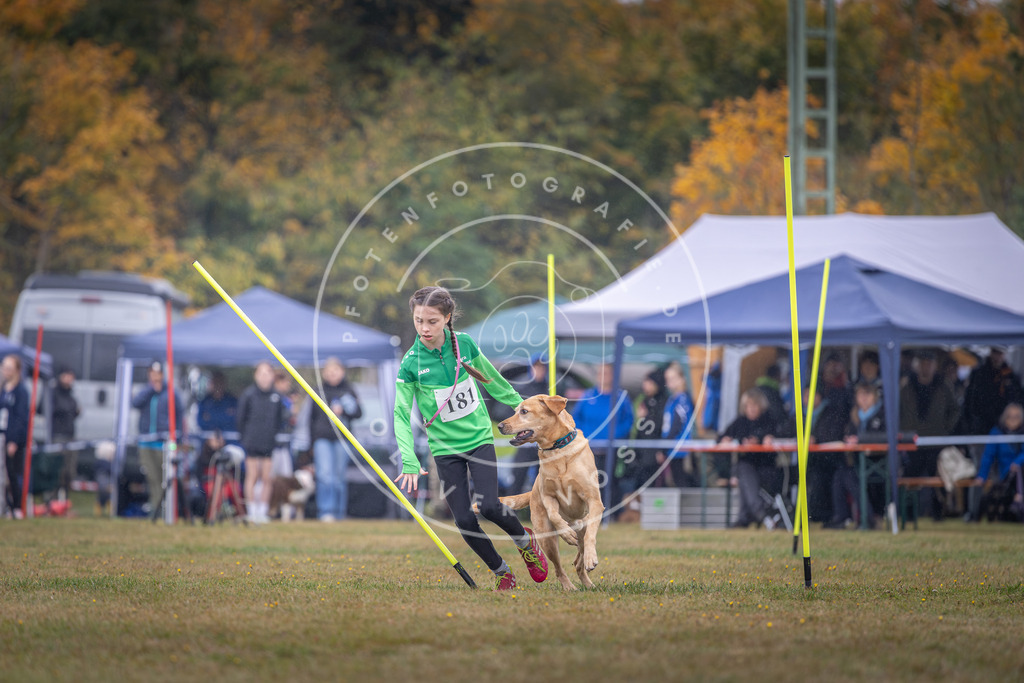 Pfotenfotografie_DV3A9925 | Hundefotografie, Tierfotograf, Pfotenfotografie, Fotoshooting Hund, Hunde Portrait, Hundesport, Hundeportraits, Heideshooting, Hunde, Sportfotograf, Hundefotograf, Turnierhundsport, THS,  - Realisiert mit Pictrs.com