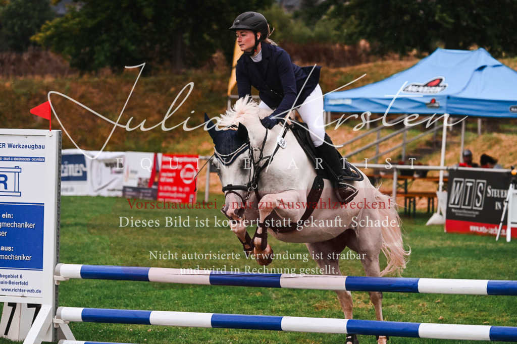 DSC_6106 | Pferde- und Turnierfotografie in Westsachsen. Pferdeportraits, Auftragszeichnungen und intuitive Kunst.