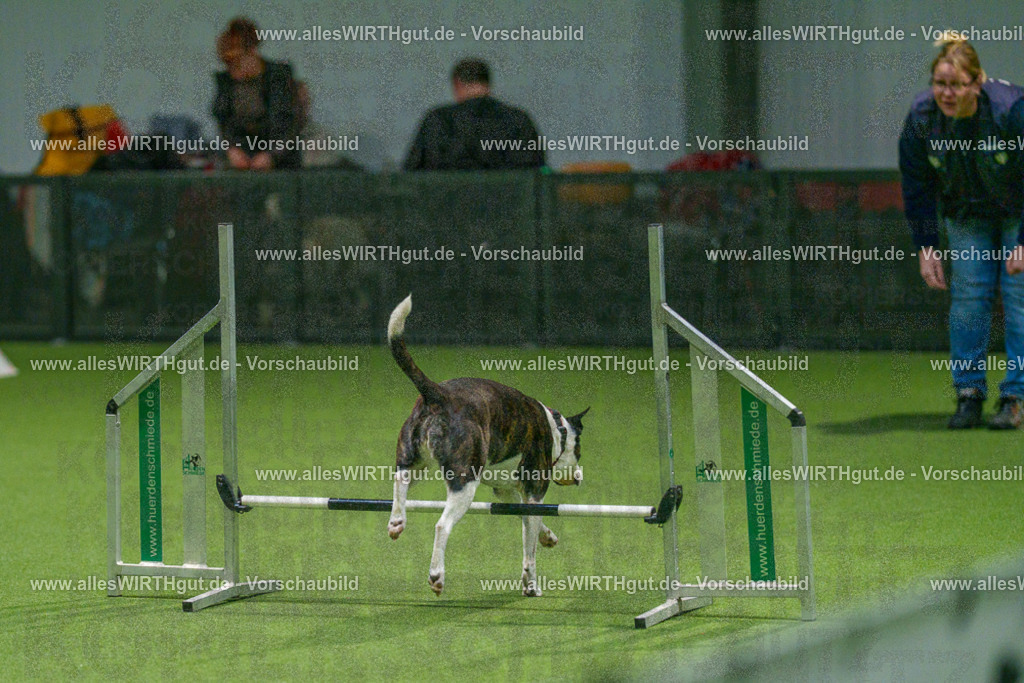 7R504712 | Professionelle Tierfotografie in Mönchengladbach von Daniel Wirth (allesWIRTHgut). Liebevolle & natürliche Bilder von Hunden & Katzen für unvergessliche Erinnerungen.