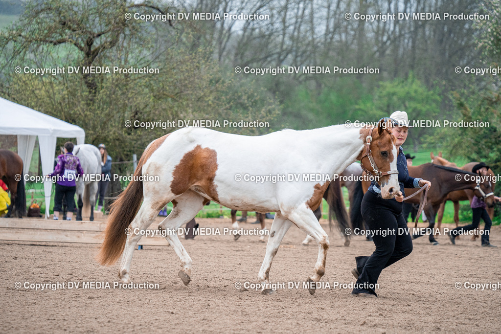 BA300007 | dv-media-shop - Realisiert mit Pictrs.com