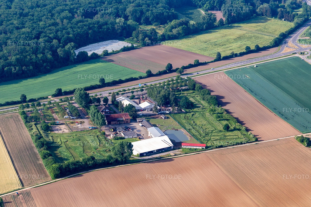Luftbild: Fussballgolfpark Südpfalz beim Adamshof in Kandel im Bundesland Rheinland-Pfalz in Deutschland. Foto: IMG_131531.jpg vom 22.05.2022 durch Werner Riehm/FLY-FOTO.deWWW.FUSSBALLGOLFPARK-SUEDPFALZ.DE