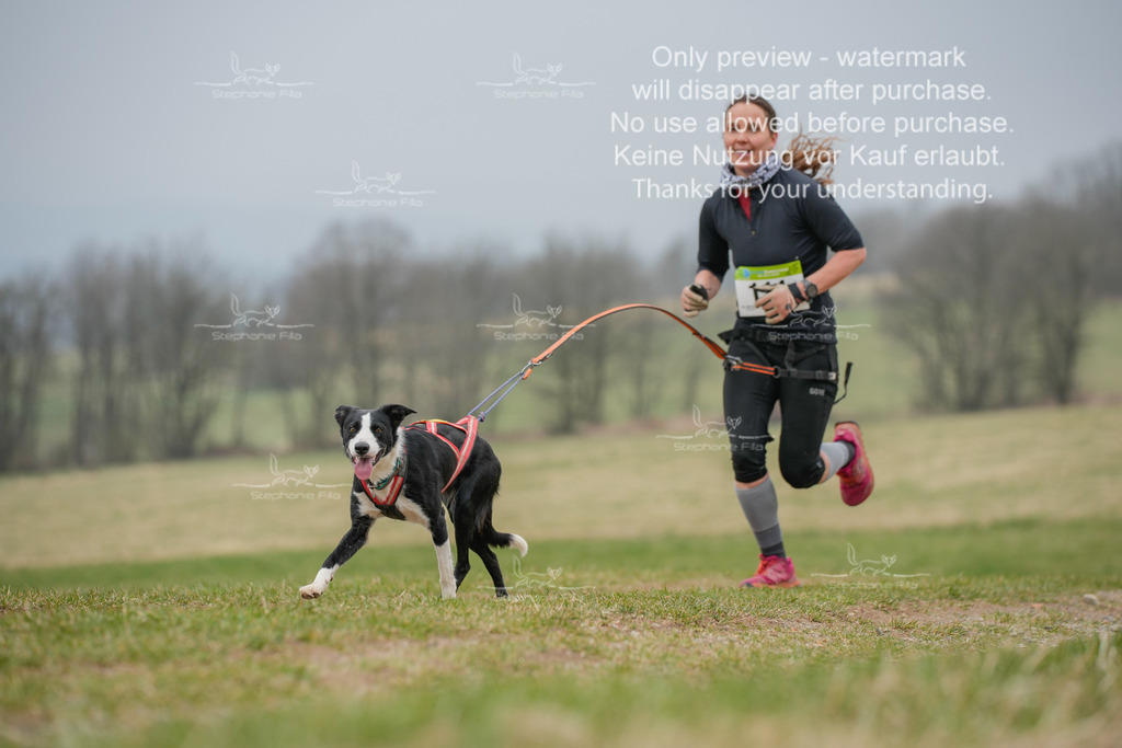 Canixlong-34 | stephaniefillaphotographie - Realisiert mit Pictrs.com