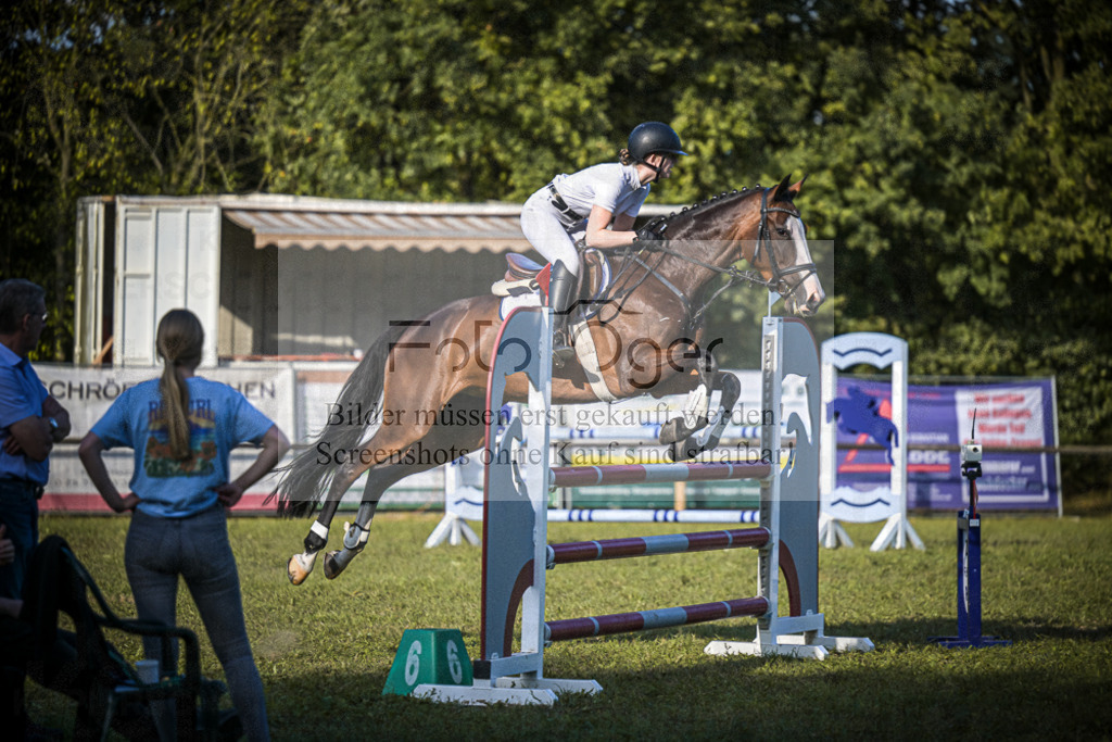 DOS_0602 | Entdecke hochwertige Reitturnierfotos von Foto Oger. Professionell, emotional und authentisch – jetzt Lieblingsmomente im Shop bestellen.Deutschlandweite Turnierfotografie. - Realisiert mit Pictrs.com