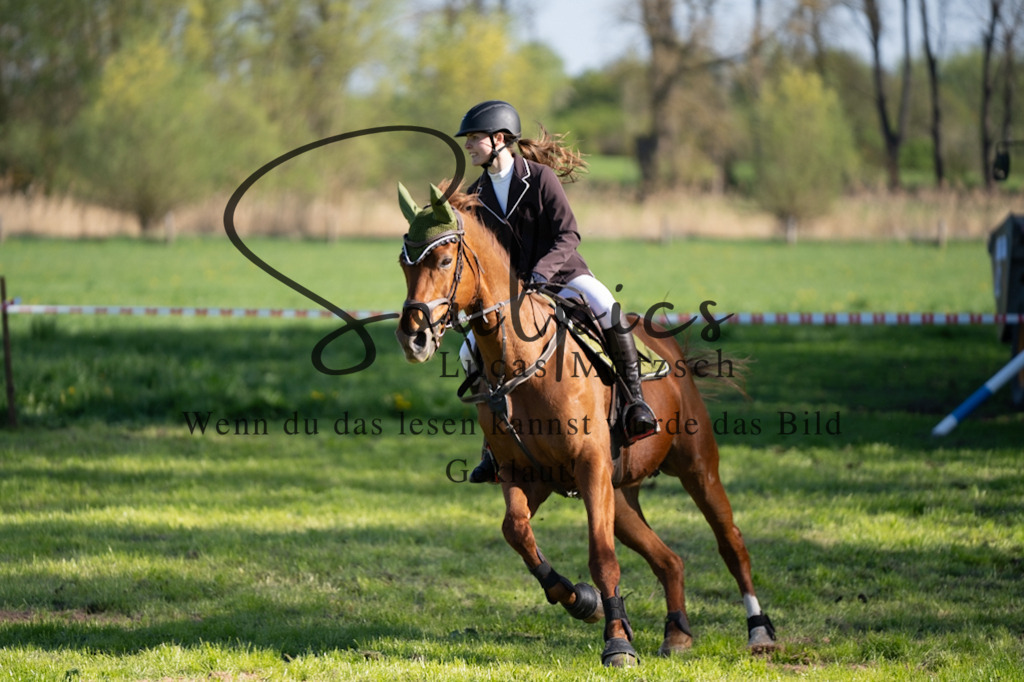 A7V01617 | Pferdefotograf