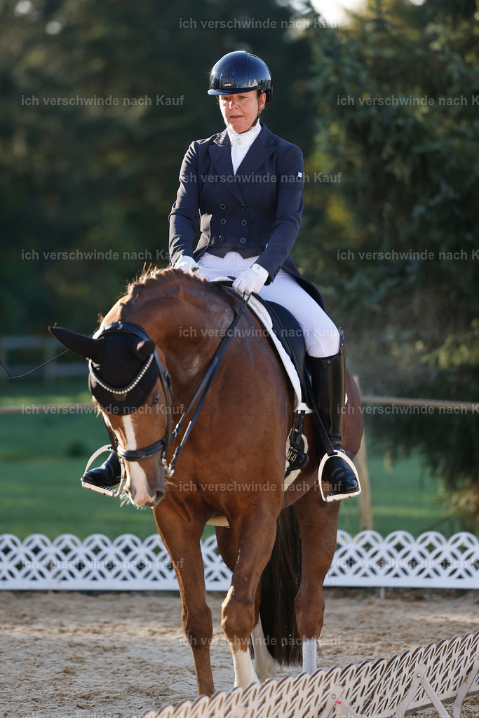 09_1-195-DRESSUR  S_  -StoibPH-5506 | working equitationturnier fotograf videograf stoibphotography marixx film working equitation deutschland reitsport turnierfotografie eventfotografie equestrian events