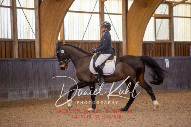 IMG_0039 | Turniersportfotografie; Pferdefotografie; Dressurfotografie