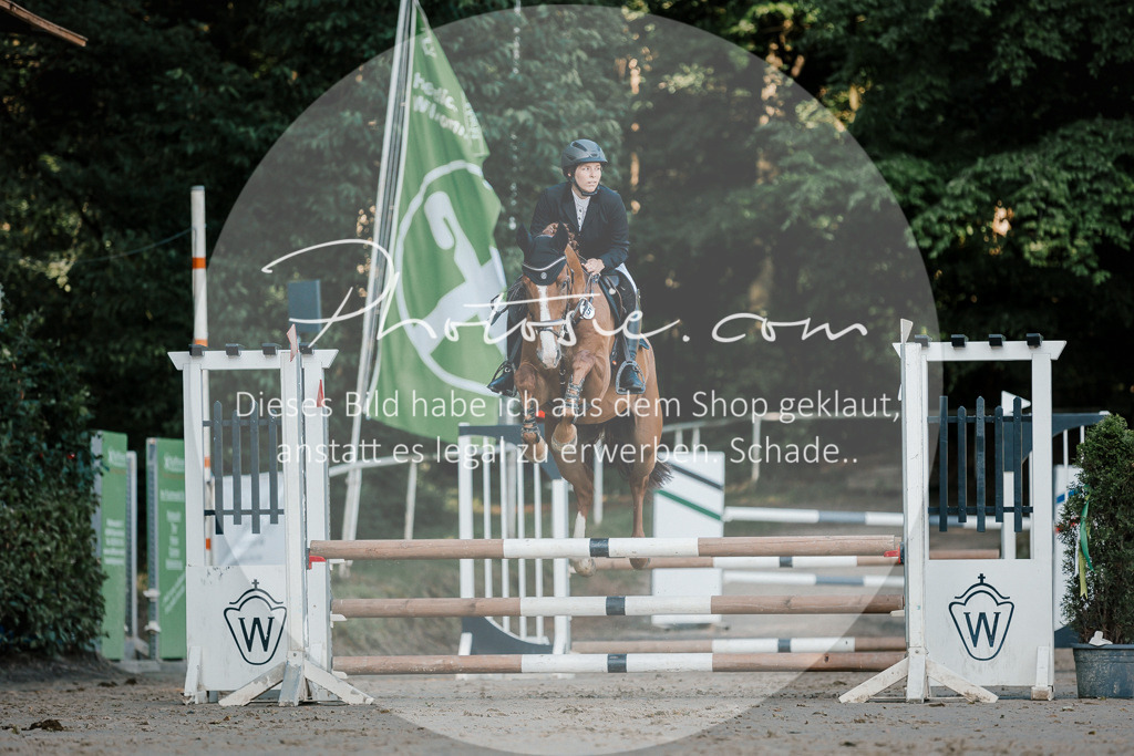 3I6A6175 | Stimmungsvolle Portraits und Reitsportfotografie im Ruhrgebiet und im Münsterland.

Pferdefotografie, Hundefotografie, Tierfotografie, Reportagen, Portraits von Tier und Mensch, Turnierfotografie in Bochum, Recklinghausen, Marl, Haltern am See, Dülmen.. - Realisiert mit Pictrs.com