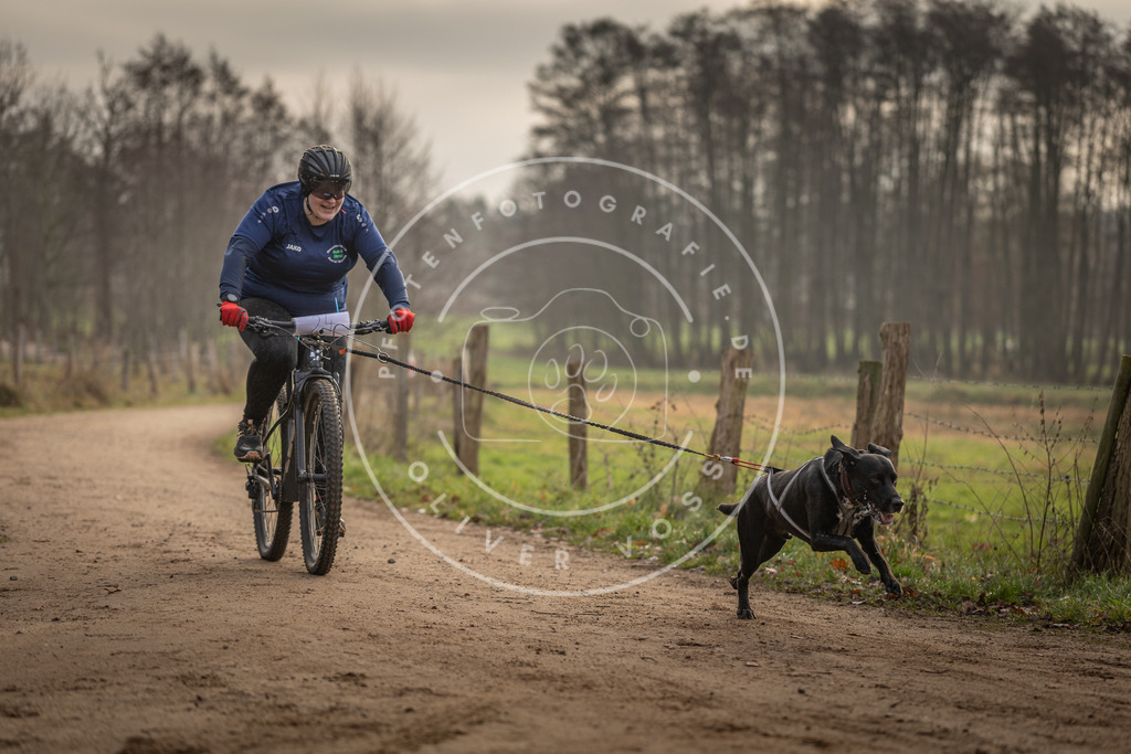 Pfotenfotografie_DV3A2032 | Hundefotografie, Tierfotograf, Pfotenfotografie, Fotoshooting Hund, Hunde Portrait, Hundesport, Hundeportraits, Heideshooting, Hunde, Sportfotograf, Hundefotograf, Turnierhundsport, THS,  - Realisiert mit Pictrs.com