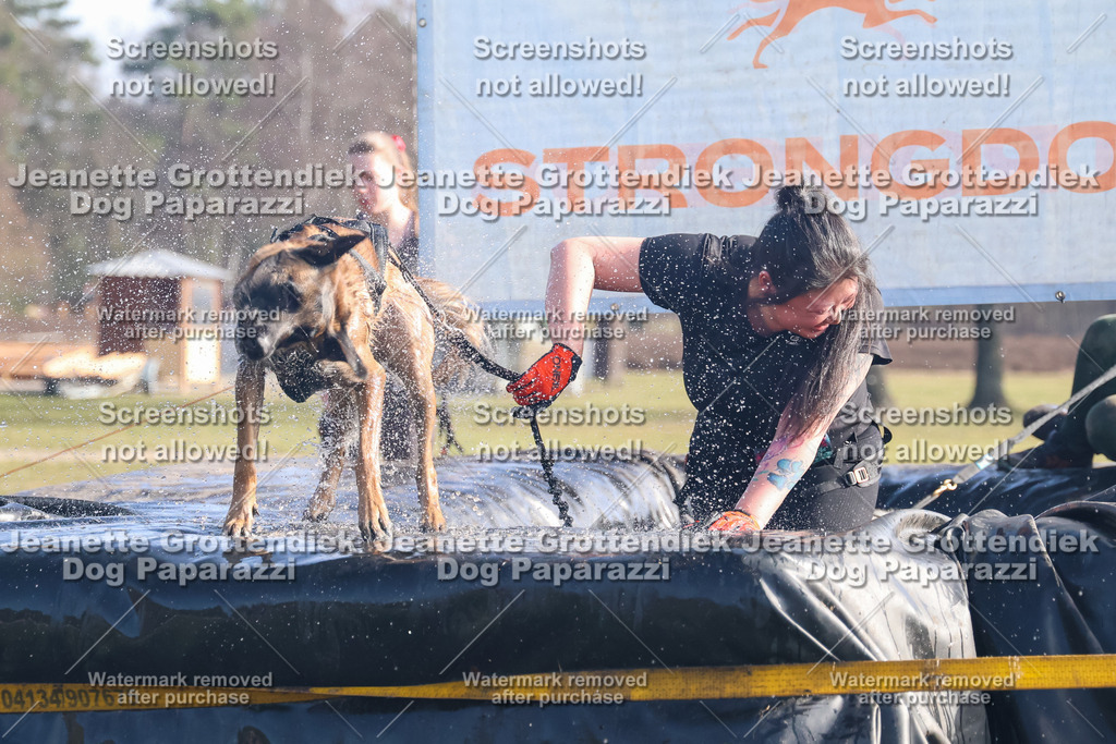 Dog Paparazzi - Strongdog North Mrz26-939 | Dog Paparazzi Jeanette Grottendiek Fotografie & Videografie - Realisiert mit Pictrs.com