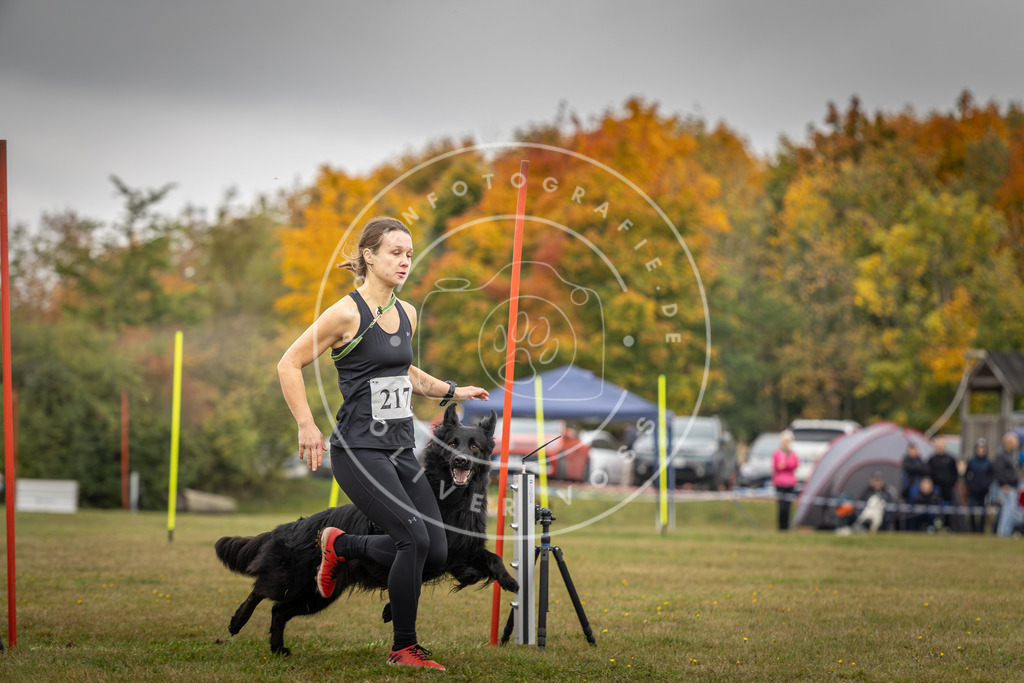 Pfotenfotografie_DV3A3584 | Hundefotografie, Tierfotograf, Pfotenfotografie, Fotoshooting Hund, Hunde Portrait, Hundesport, Hundeportraits, Heideshooting, Hunde, Sportfotograf, Hundefotograf, Turnierhundsport, THS,  - Realisiert mit Pictrs.com