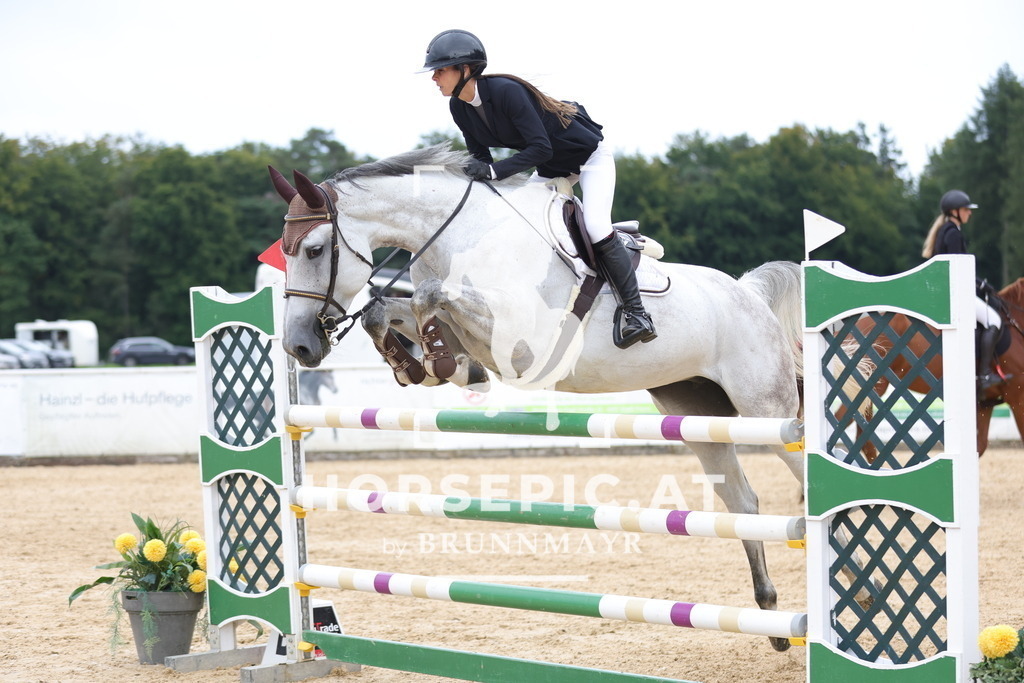 0P6A8380 | Willkommen bei Brunnmayr - Design & Fotografie – Ihrem Spezialisten für Reitturniere und Pferdeveranstaltungen in Oberösterreich, Salzburg und Bayern! Seit über 17 Jahren sind wir leidenschaftlich dabei.