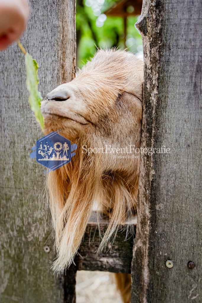 IMAG1507 | SportEventFotografie - Roman Stoiber