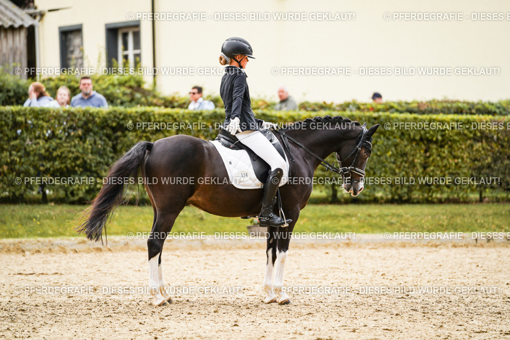 DSC00324 | Pferdegrafie