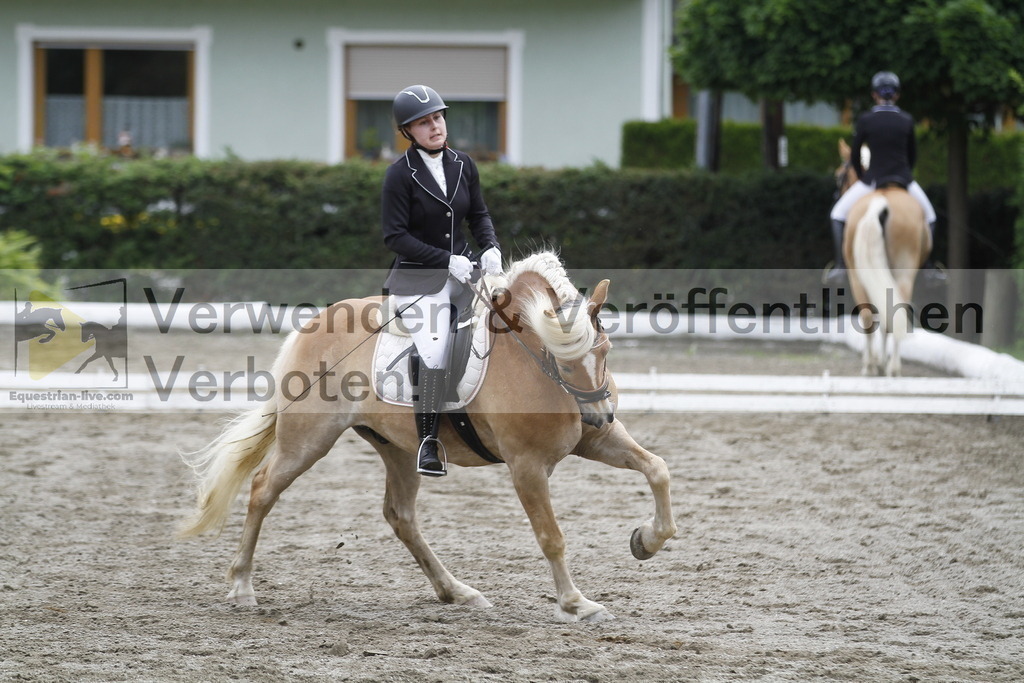_MG_0969 | equestrian-live-com