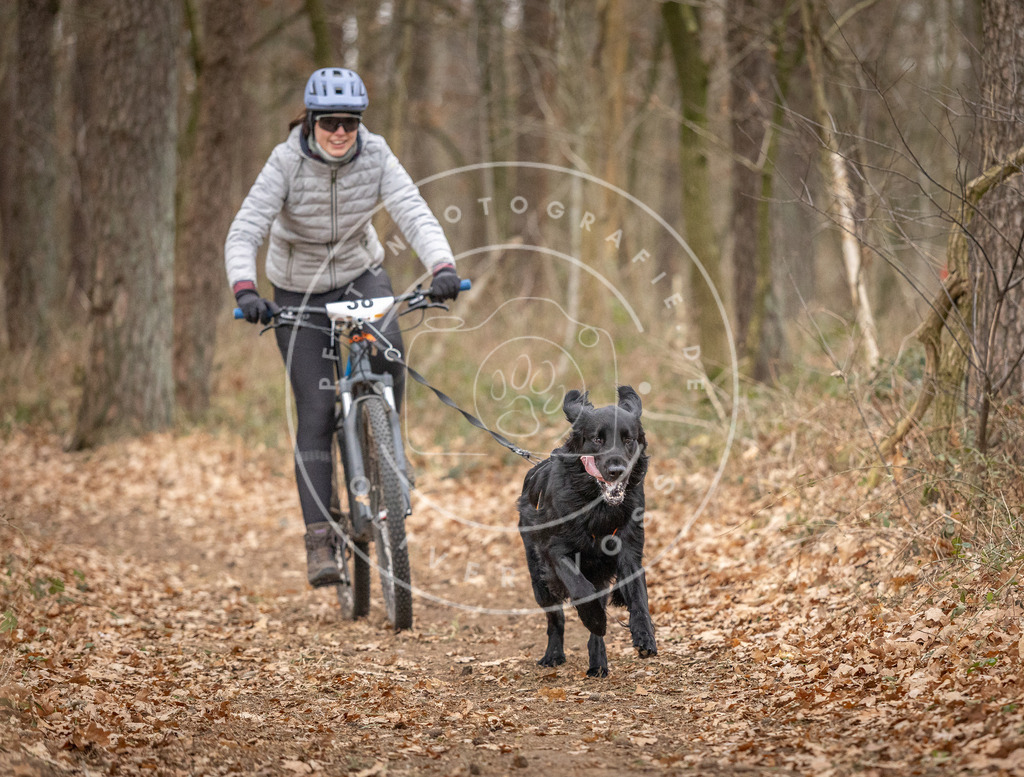 Pfotenfotografie_DV3A0245 | Hundefotografie, Tierfotograf, Pfotenfotografie, Fotoshooting Hund, Hunde Portrait, Hundesport, Hundeportraits, Heideshooting, Hunde, Sportfotograf, Hundefotograf, Turnierhundsport, THS,  - Realisiert mit Pictrs.com