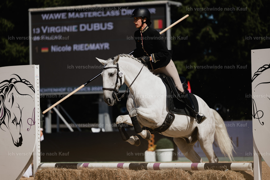 Virginie12FHC2025-27285 | working equitationturnier fotograf videograf stoibphotography marixx film working equitation deutschland reitsport turnierfotografie eventfotografie equestrian events