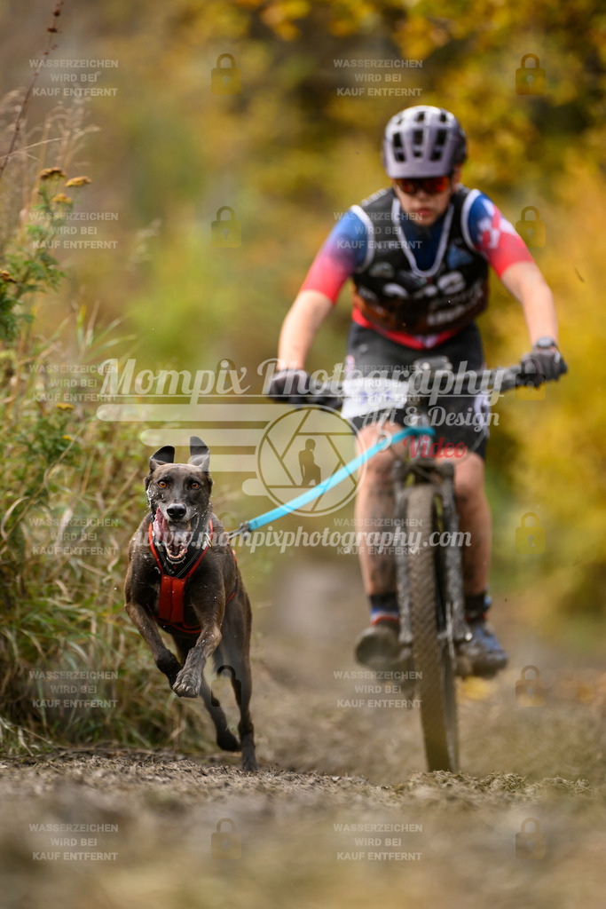 MompixPhotography_ICF_WC_2024_SA_Bike_-379 | PayLife