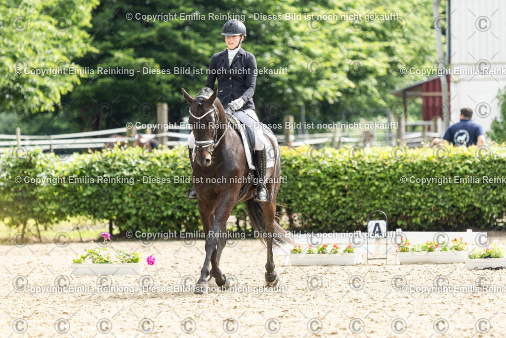 CL5A5923 | Emilia Reinking Fotografie - Realisiert mit Pictrs.com