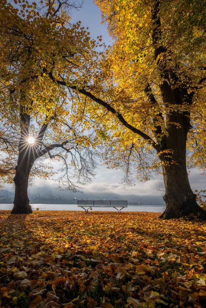 Goldener Herbst 1 | Badi Siehbad Zug - Realisiert mit Pictrs.com