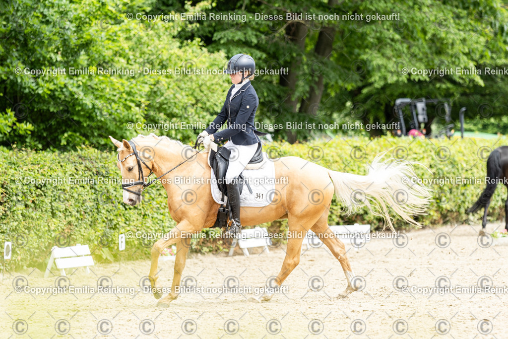 CL5A1946 | Emilia Reinking Fotografie - Realisiert mit Pictrs.com