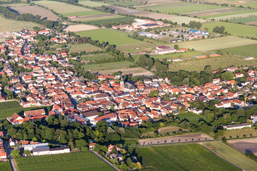Luftbild: Landwirtschaftliche Nutzflächen und Feldgrenzen umsäumen das Siedlungsgebiet des Dorfes in Dirmstein im Bundesland Rheinland-Pfalz in Deutschland. Foto: IMG_107700.jpg vom 03.06.2018 durch Werner Riehm/FLY-FOTO.de