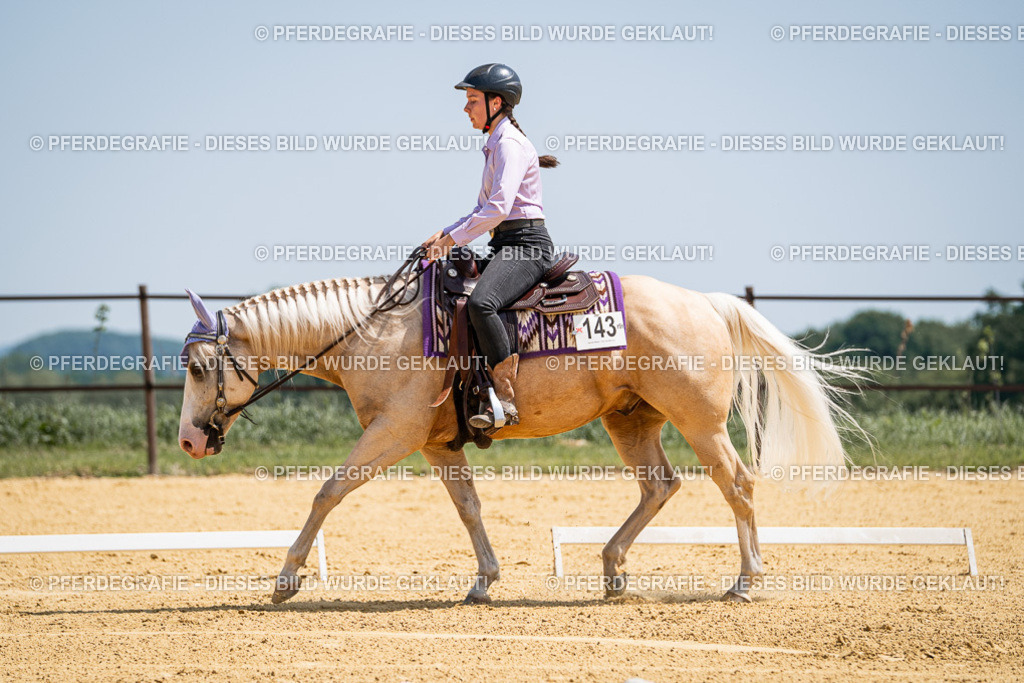 DSC01144 | Pferdegrafie