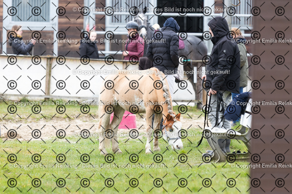 CL5A6874 | Emilia Reinking Fotografie - Realisiert mit Pictrs.com