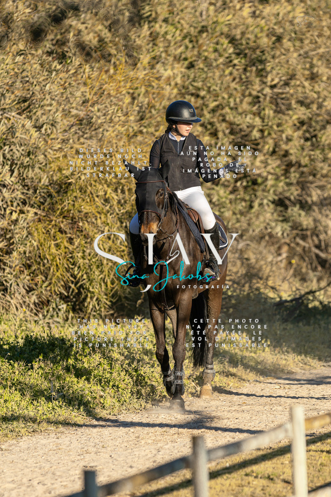 IMG_2483 | s-jay-photography - Realisiert mit Pictrs.com