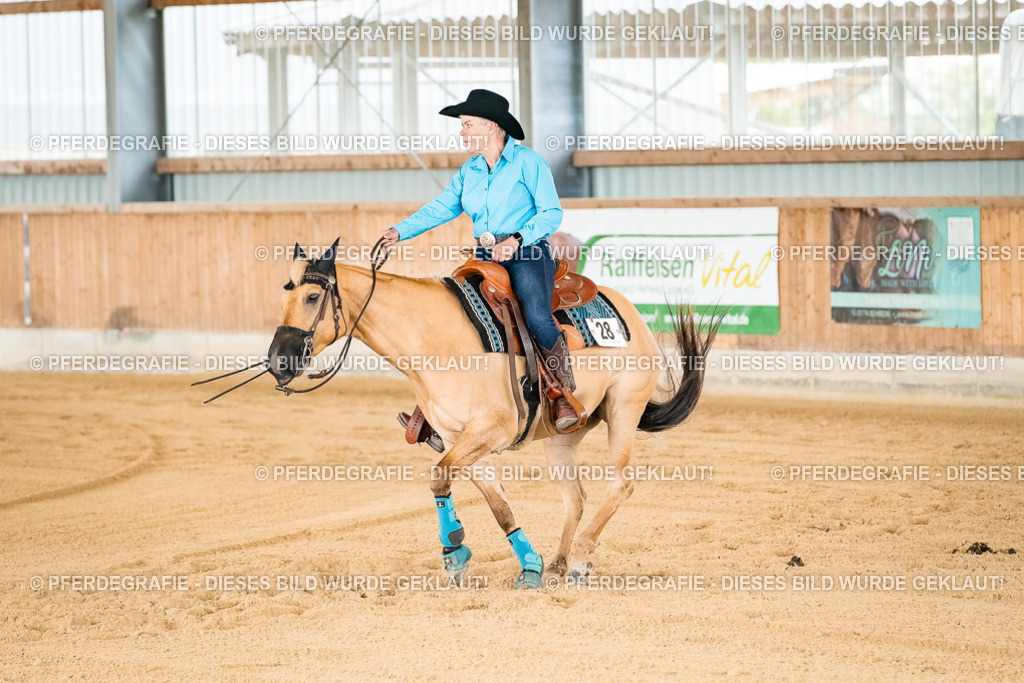 DSC02249 | Pferdegrafie