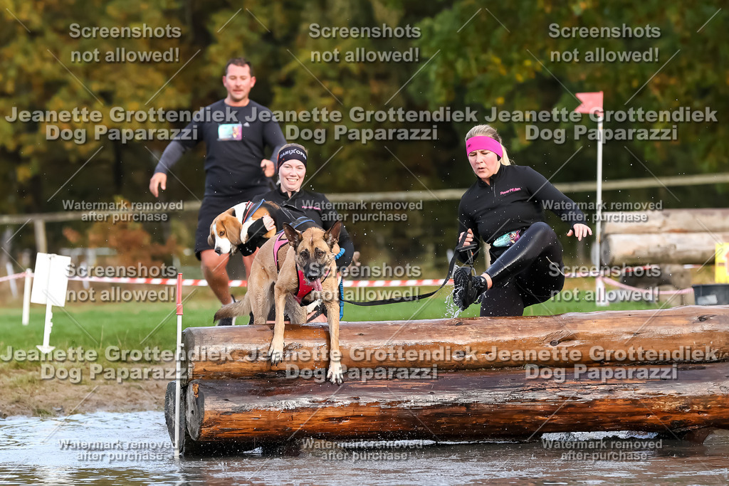 Dog Paparazzi - Strongdog 10-25-6975 | Dog Paparazzi Jeanette Grottendiek Fotografie & Videografie - Realisiert mit Pictrs.com