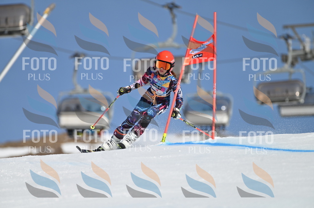 BGV_7623 | holidayphoto