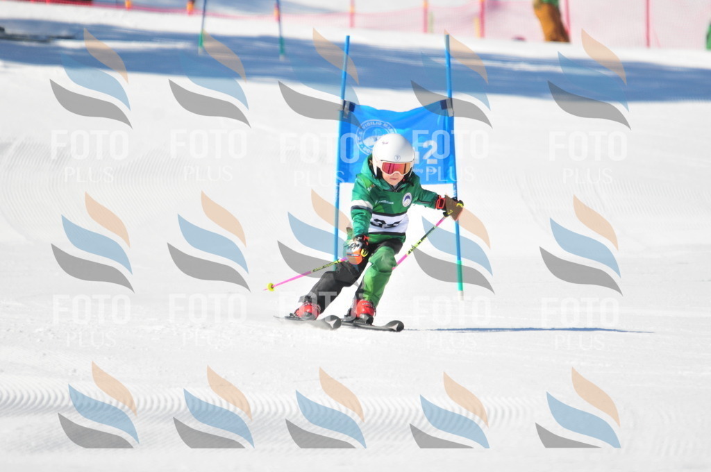 C2673 | holidayphoto