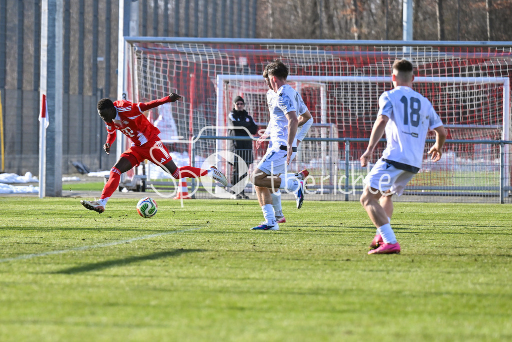 FC Bayern Amateure - FC Viktoria Pilsen U23 | MUNICH, GERMANY - 03. FEBRUARY: am Ball Bajung DARBOE (FC Bayern München II 9) während dem Testspiel zwischen den Amateuren des FC Bayern und dem FC Viktoria Pilsen B am FC Bayern Campus
