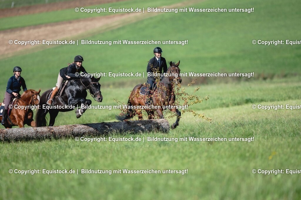 20251011_Jagd-Marbach_0252 | Foto: Thomas Hartig