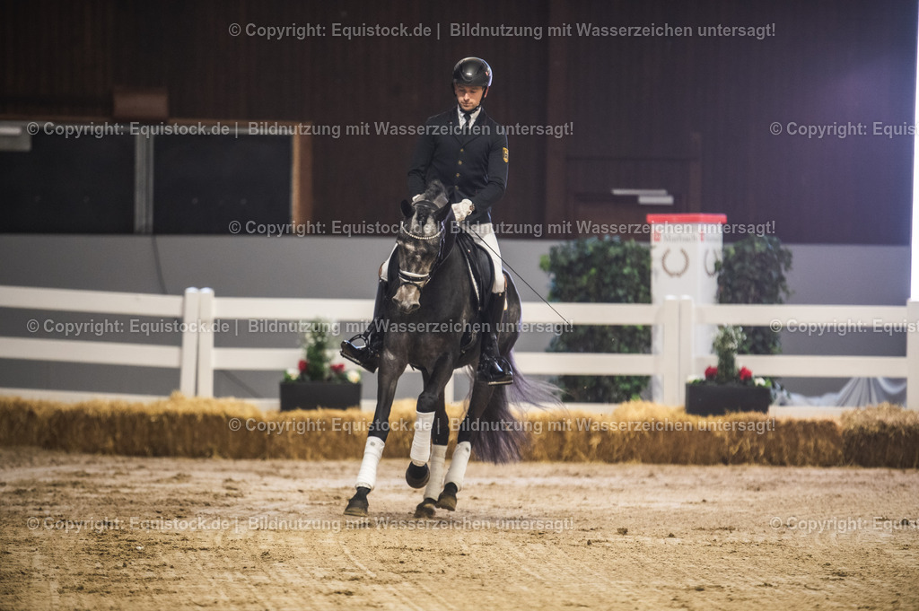 20240302_Hengstvorstellung_Marbach_TOMsPiC_0167 | equistock