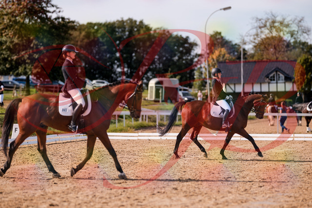2026_10_03_Siefer-Hof_130839_Z81_61258266 | Professionelle Reitsport-, Turnier- und Eventfotografie von Robert Broda. Galerien mit ausgewählten und bearbeiteten Bildern direkt online ansehen und bestellen.
