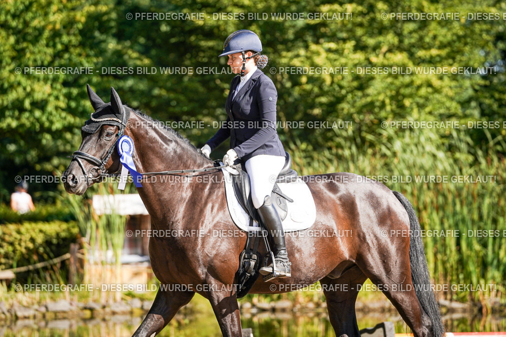 DSC00277 | Pferdegrafie