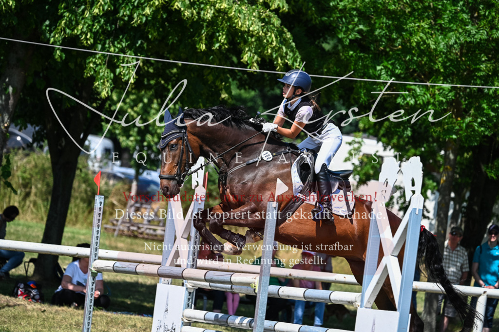 DSC_1384 | Pferde- und Turnierfotografie in Westsachsen. Pferdeportraits, Auftragszeichnungen und intuitive Kunst.