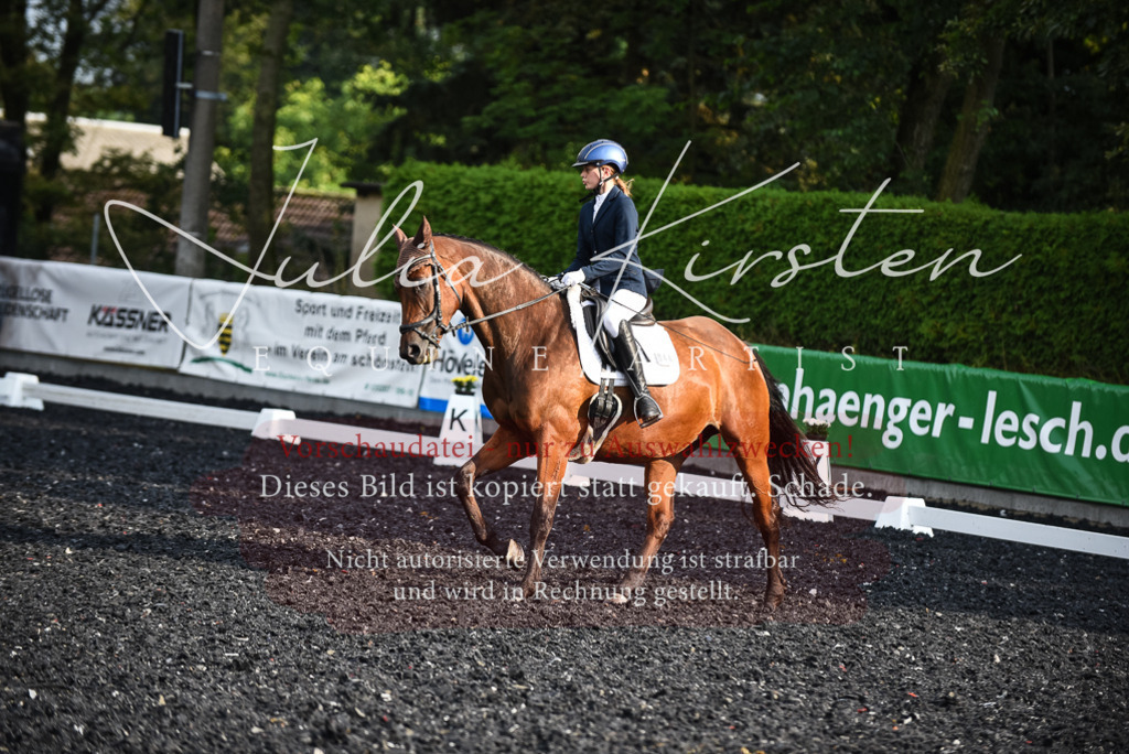 DSC_3361 | Pferde- und Turnierfotografie in Westsachsen. Pferdeportraits, Auftragszeichnungen und intuitive Kunst.