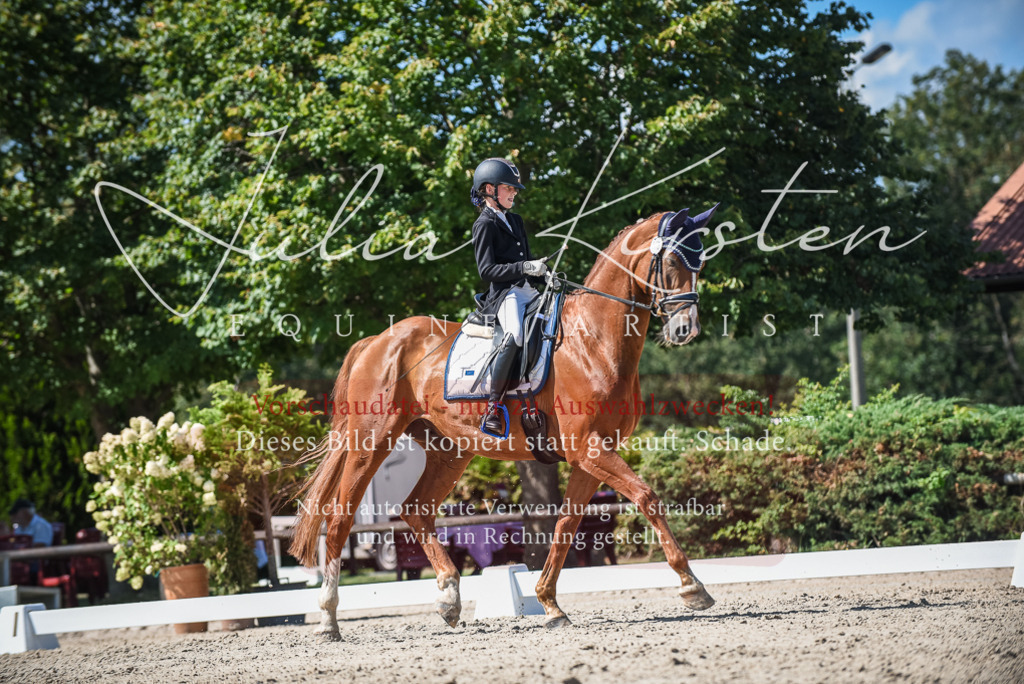 DSC_9519 | Pferde- und Turnierfotografie in Westsachsen. Pferdeportraits, Auftragszeichnungen und intuitive Kunst.