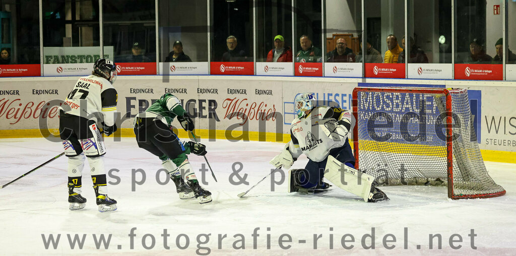 2023-11-17_058_TSV_Erding_gegen_EA_Schongau | Erding, Deutschland, 17.11.2023:
Eishockey, Bayernliga Vorrunde 2023 / 2024, 10. Spieltag, TSV Erding gegen EA Schongau, Endergebnis: 12:4

Stefan Saal (EA Schongau, #17), Philipp Michl (Erding Gladiators, #77), Torwart Xaver Nagel (EA Schongau, #80)

Foto: Christian Riedel / fotografie-riedel.net