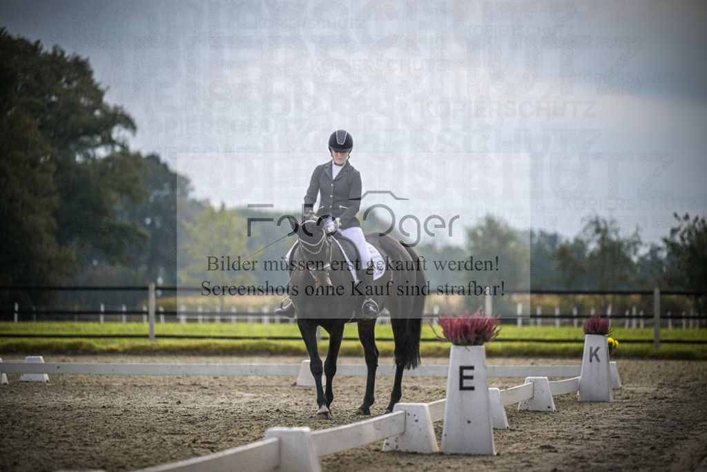 DOS_B262 | Entdecke hochwertige Reitturnierfotos von Foto Oger. Professionell, emotional und authentisch – jetzt Lieblingsmomente im Shop bestellen.Deutschlandweite Turnierfotografie. - Realisiert mit Pictrs.com