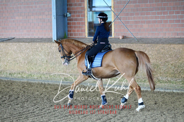 DKP42641 | Turniersportfotografie; Pferdefotografie; Dressurfotografie