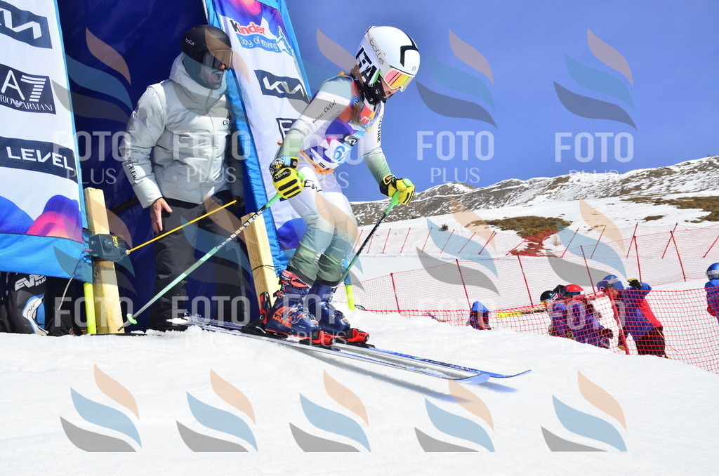 _ELE0248 | holidayphoto