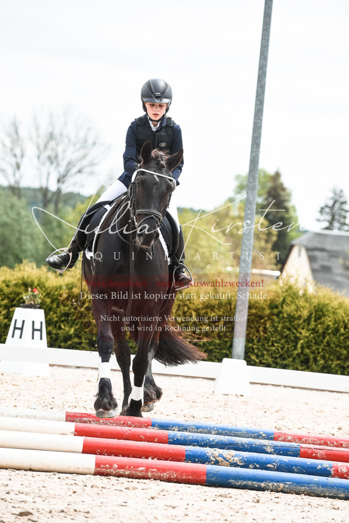 20230518_JK-Röhrsdorf-10-745 | Pferde- und Turnierfotografie in Westsachsen. Pferdeportraits, Auftragszeichnungen und intuitive Kunst.