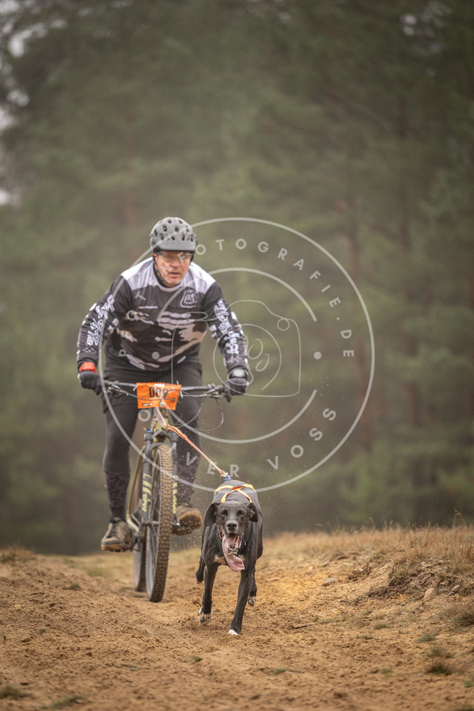 Pfotenfotografie_DV3A2923 | Hundefotografie, Tierfotograf, Pfotenfotografie, Fotoshooting Hund, Hunde Portrait, Hundesport, Hundeportraits, Heideshooting, Hunde, Sportfotograf, Hundefotograf, Turnierhundsport, THS,  - Realisiert mit Pictrs.com