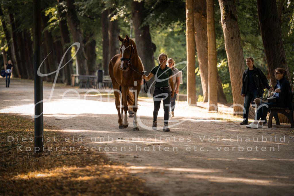 FrPfM00002 | Leoni Ertmer Photography - Realisiert mit Pictrs.com